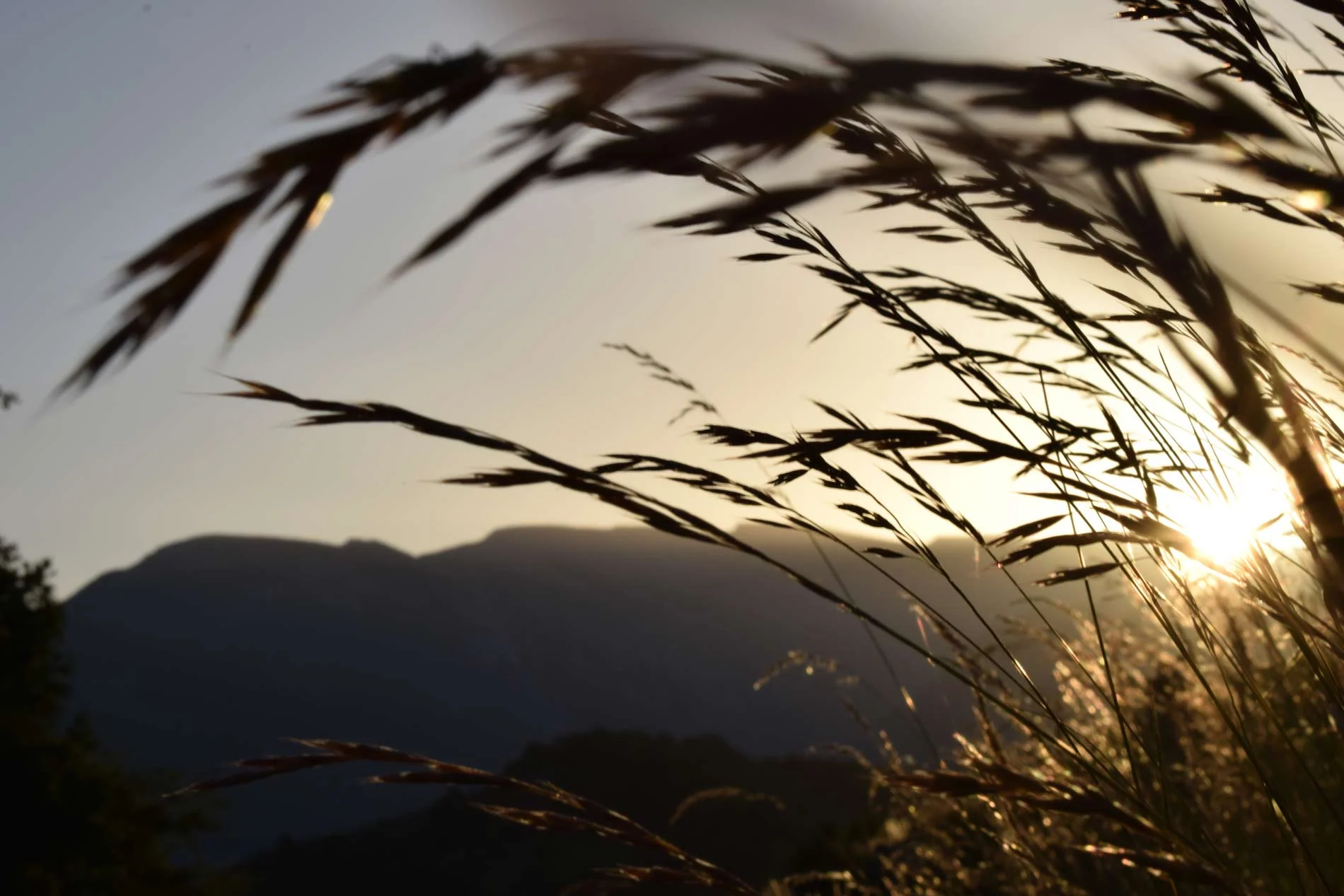 La Muntanya del Cadí a trenc d'alba