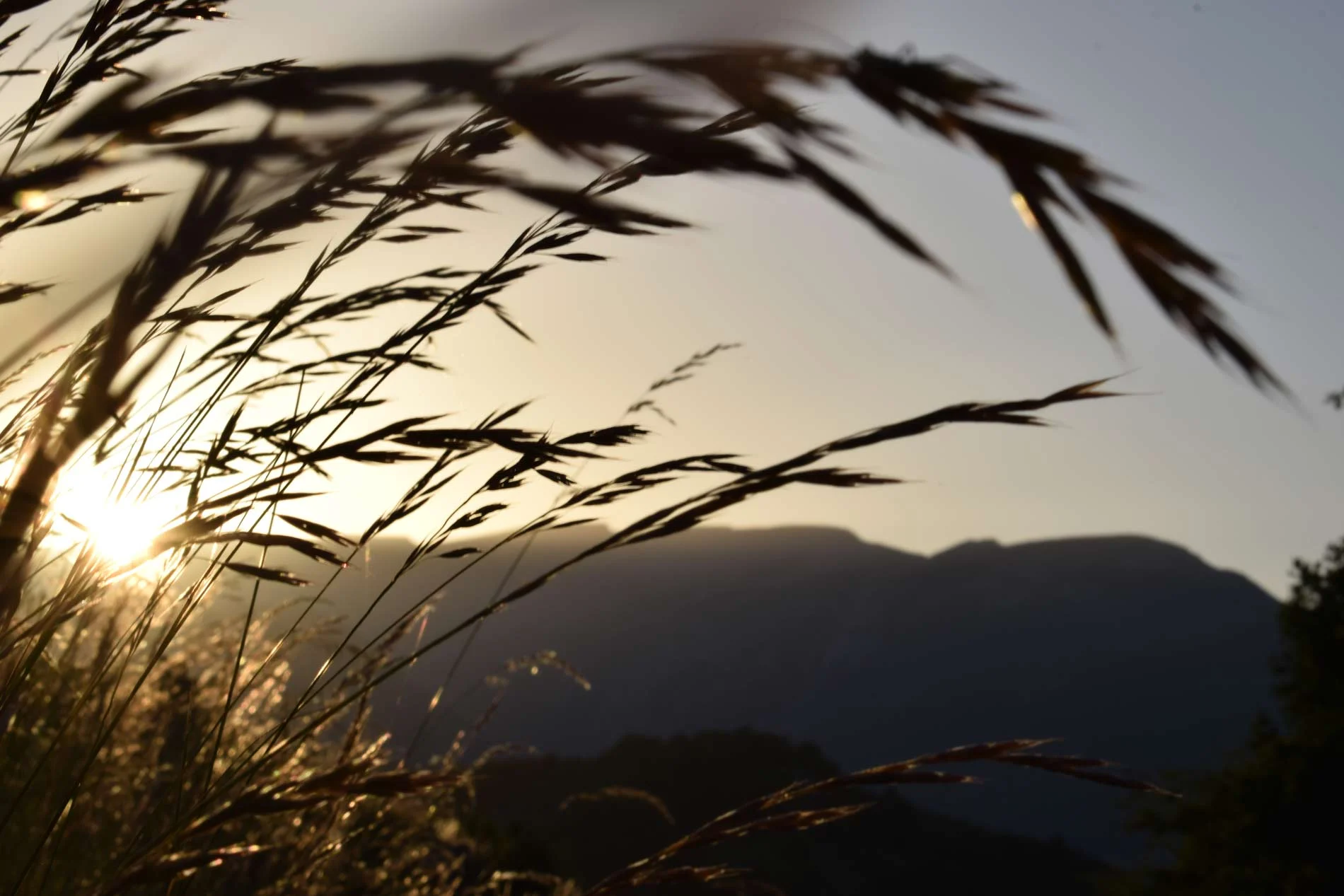 La Muntanya del Cadí a trenc d'alba